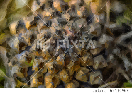 Illustration. Image of a Pine cone close-up. Illustration. Image of a Pine cone close-up. 65530968