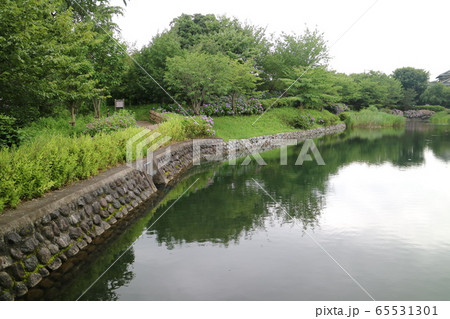 今泉名水桜公園(秦野市) 今泉名水桜公園(秦野市) 65531301