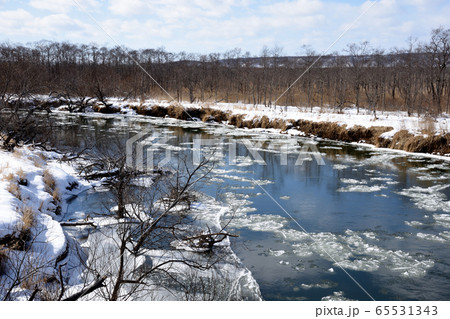 釧路湿原　釧路川 65531343
