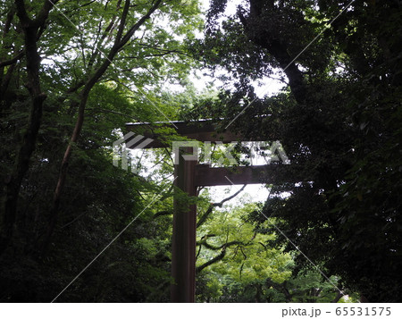 雨上がりの熱田神宮鳥居 雨上がりの熱田神宮鳥居 65531575