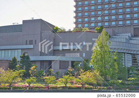 新緑 毛馬桜之宮公園 新緑 毛馬桜之宮公園 65532000