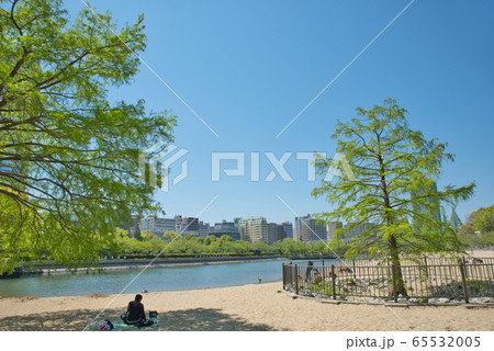 新緑　毛馬桜之宮公園 65532005