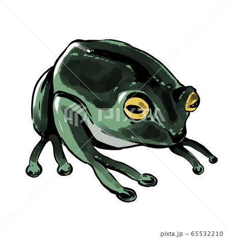 カエル 65532210