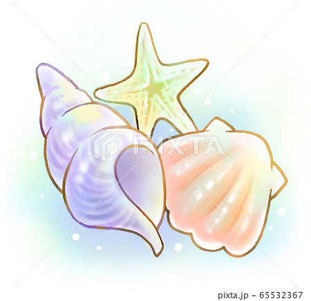 Seashell And Starfish Stock Illustration
