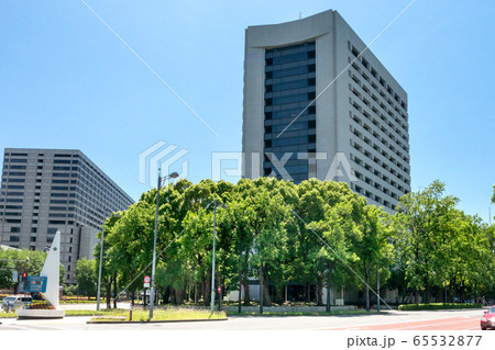 警視庁 警視庁 65532877