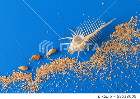 貝殻、砂202005177ｄ5 65533009