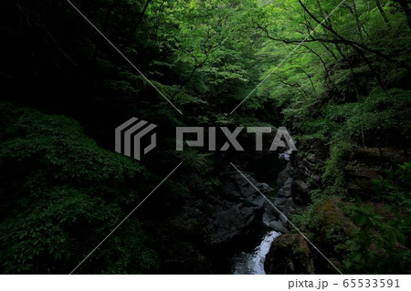 初夏の吾妻渓谷 65533591