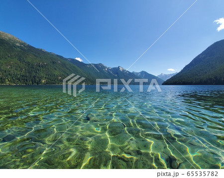 夏景色 65535782