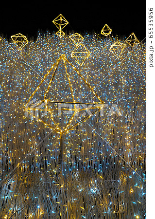 【なんばパークス イルミネーション】 大阪府大阪市浪速区難波中 【なんばパークス イルミネーション】 大阪府大阪市浪速区難波中 65535956