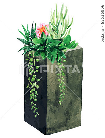 Bright watercolor succulents in concrete vertical pot, hand drawn 65536906