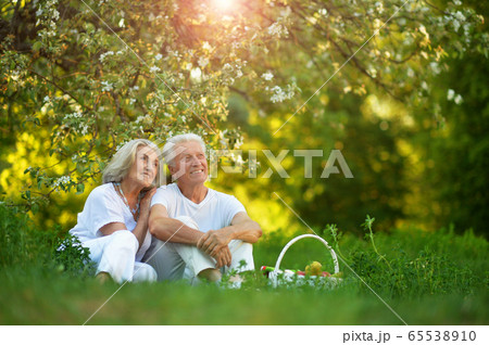 Portrait of loving elderly couple having a picnic 65538910