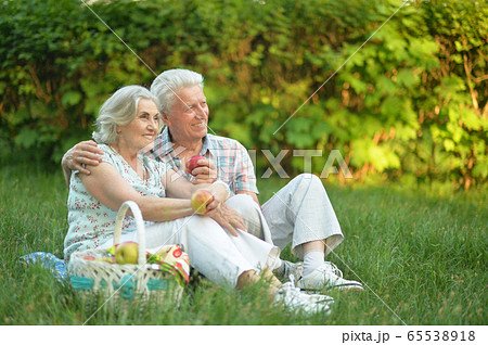 Portrait of loving elderly couple having a picnic Portrait of loving elderly couple having a picnic 65538918