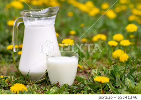 milk in glass with dandelions on the background 65541346