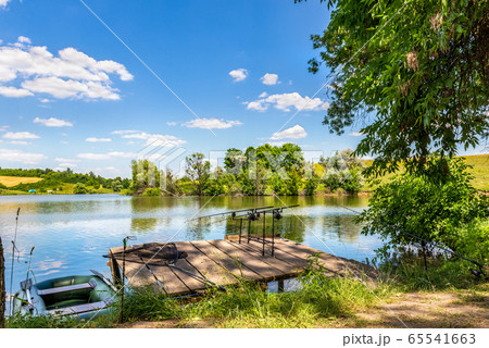 Summer carp fishing 65541663