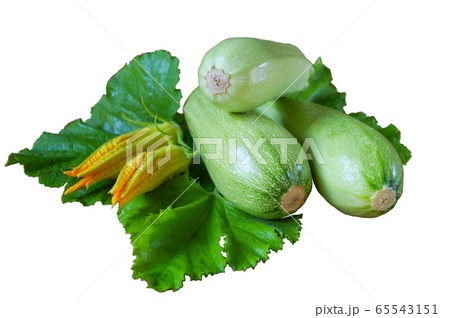 Young zucchini with yellow inflorescence on a white background isolate Young zucchini with yellow inflorescence on a white background isolate 65543151