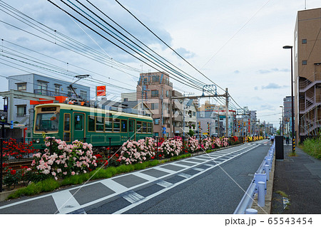 路面電車と沿線のカラフルなバラの花 65543454