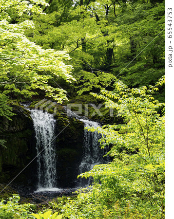 鐘山の滝(初夏) 鐘山の滝(初夏) 65543753