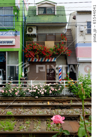 都電沿線のカラフルなバラの花 65544041