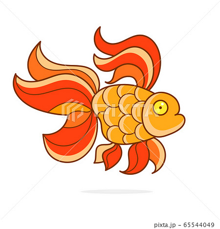 Goldfish, Realistic Illustration On A White 65544049