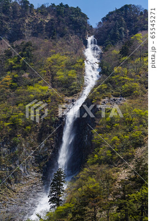 富山県/ ハンノキ滝 65545271