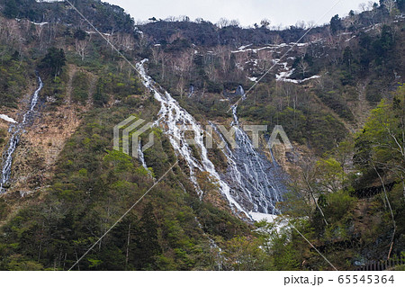 富山県/ ソーメン滝(※コメント欄をご覧下さい) 富山県/ ソーメン滝(※コメント欄をご覧下さい) 65545364