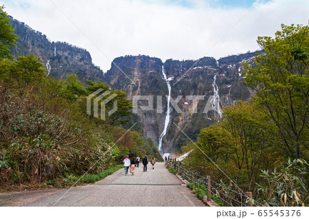 富山県/ 称名滝周辺滝群遠景 富山県/ 称名滝周辺滝群遠景 65545376
