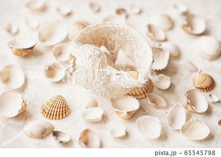 Set of different seashells, top view, summer vacation concept 65545798