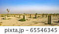 The Desert is the Cradle of Life, Emirates, Oct.2018 65546345