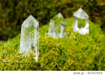 苔の上の水晶の結晶 苔の上の水晶の結晶 65547050