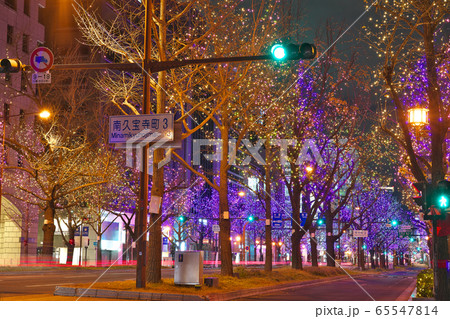【御堂筋イルミネーション】 大阪市 御堂筋 65547814