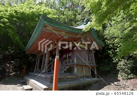 上醍醐　清瀧宮本殿 65548126