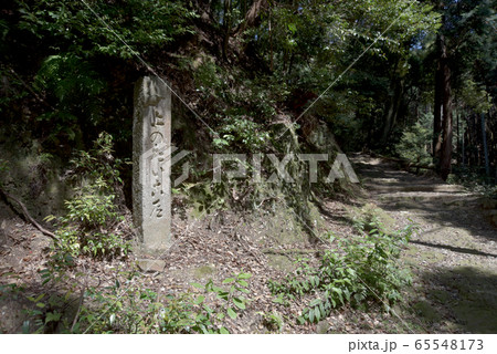 上醍醐　参道の石標 65548173