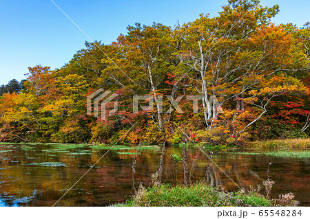 【青森県八甲田山の紅葉】グダリ沼 【青森県八甲田山の紅葉】グダリ沼 65548284