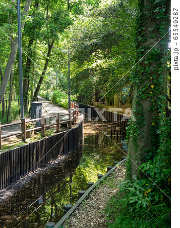 黒目川源流　豊かな湧水群の景色（東久留米市）　東京の名湧水57選 65549287