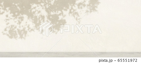 Empty room with a white wall shadow light overlay 65551972