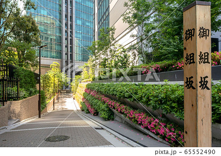 御組坂 御組坂 65552490