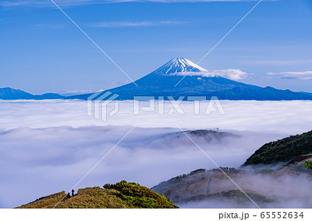 (静岡県)大雲海の駿河湾、富士山 朝 (静岡県)大雲海の駿河湾、富士山 朝 65552634