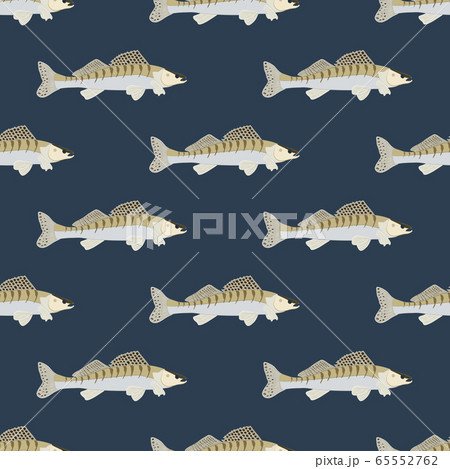 Zander fish wild nderwater predator seamless pattern Zander fish wild nderwater predator seamless pattern 65552762