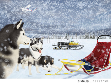 雪の中の犬ぞりのイラスト 雪の中の犬ぞりのイラスト 65553756