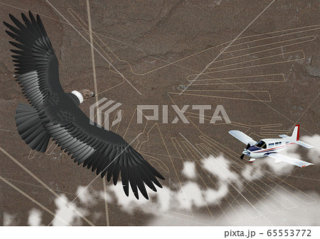 ナスカの地上絵の上を飛ぶコンドルとセスナ機のイラストのイラスト素材