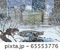 冬のセントラルパークとリスのイラスト 65553776