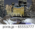 冬のセントラルパークとリスのイラスト 65553777