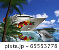ハワイ　豪華客船とイルカのイラスト 65553778