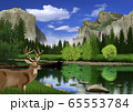 春のヨセミテ国立公園の風景とシカのイラスト 65553784