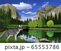 春のヨセミテ国立公園の風景とキツネイメージ 65553786