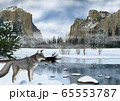 冬のヨセミテ国立公園の風景とキツネのイラスト 65553787