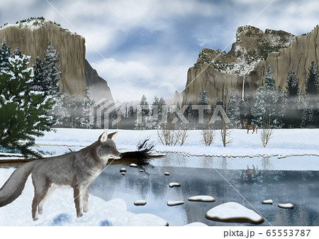 冬のヨセミテ国立公園の風景とキツネのイラストのイラスト素材