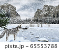 雪が降るヨセミテ国立公園の風景とキツネのイラスト 65553788