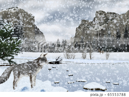 雪が降るヨセミテ国立公園の風景とキツネのイラストのイラスト素材