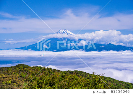 （静岡県）新緑の金冠山、駿河湾の雲海、富士山 65554046